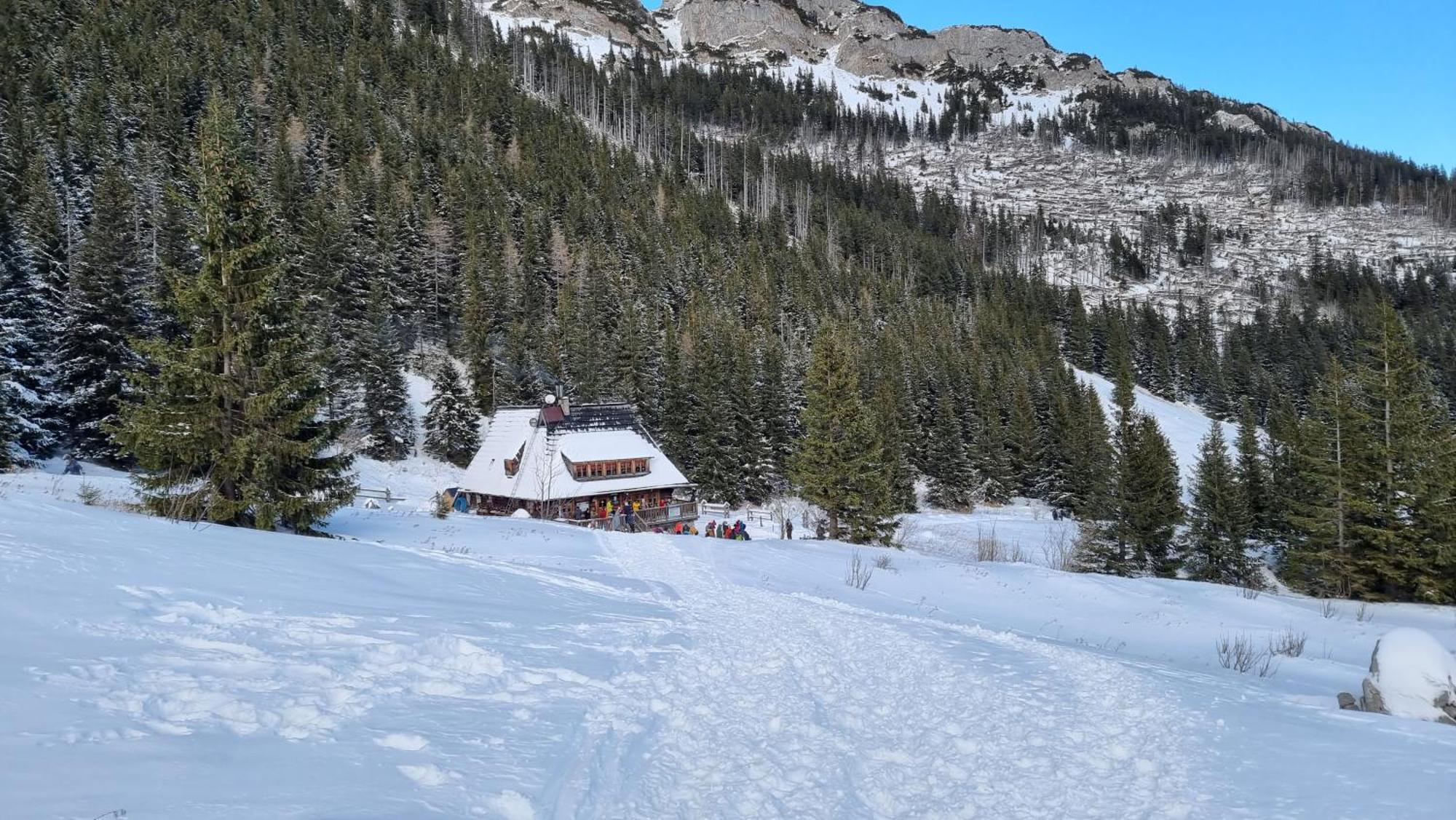 Bukowina Tatrzanska -Czarna Gora- Black Apart- Widok Na Tatry, Jacuzzi, Bilard, Game Room Ngoại thất bức ảnh